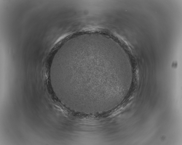 X0000094961206200711291433