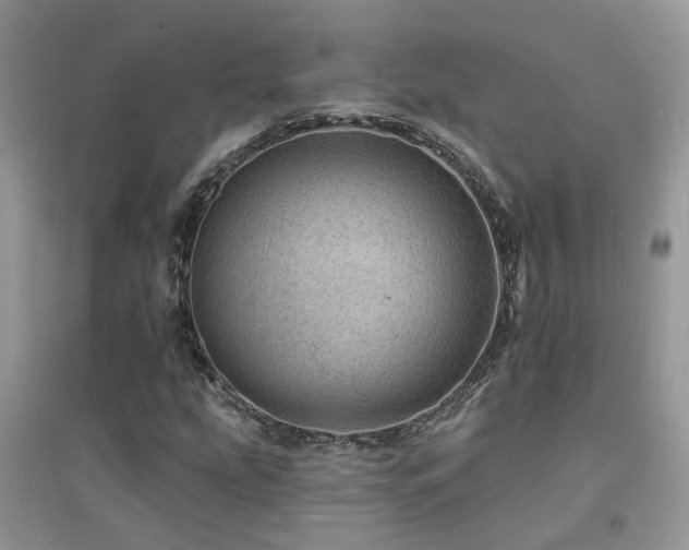 X0000094961207200711291433
