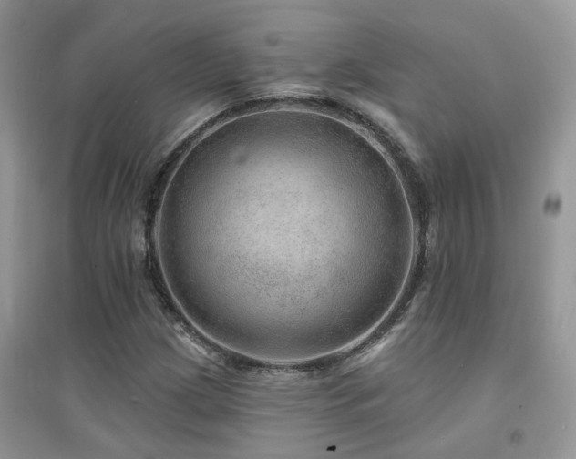 X0000094961209200711291433