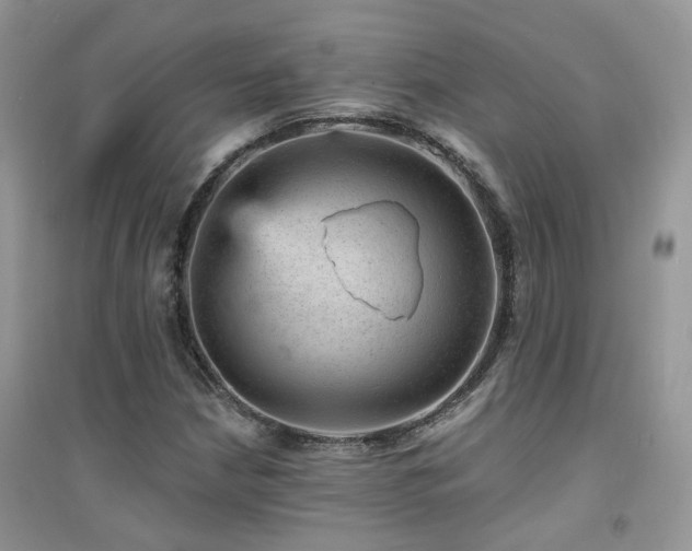 X0000094961210200711291433