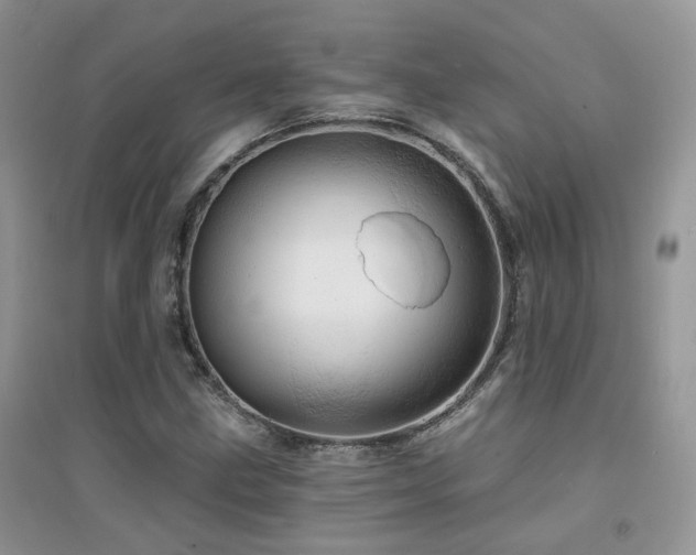 X0000094961211200711291433
