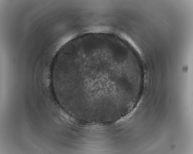 X0000094961213200711291433