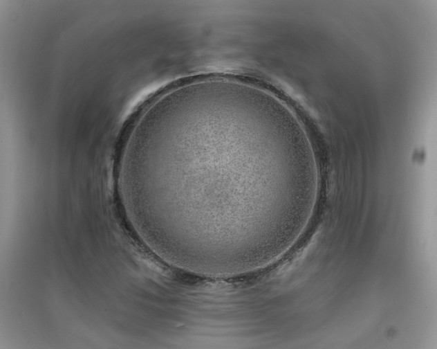 X0000094961214200711291433