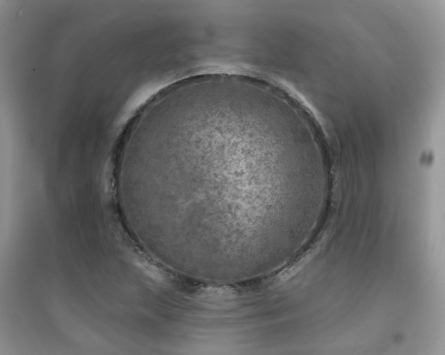 X0000094961215200711291433