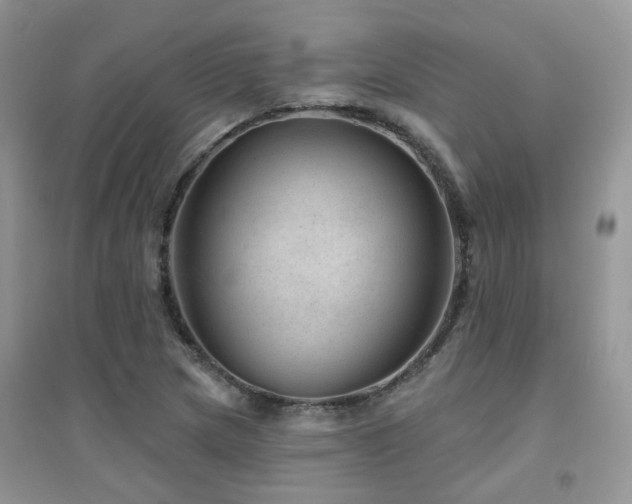 X0000094961217200711291433