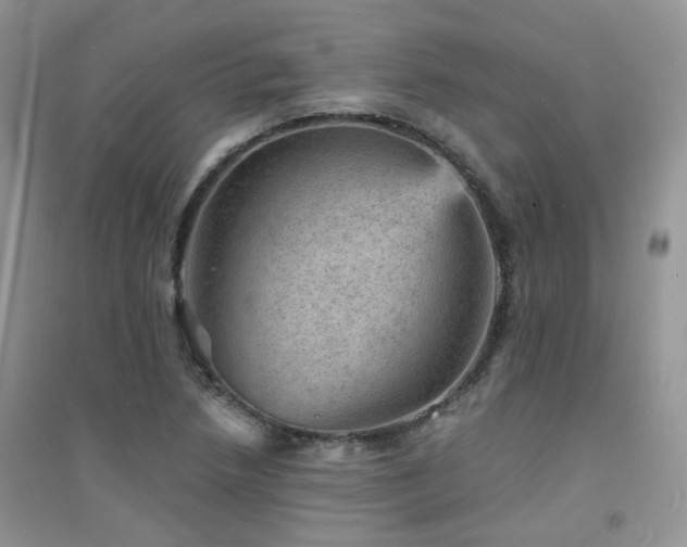 X0000094961218200711291433