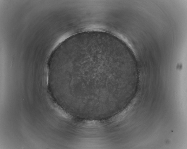 X0000094961219200711291433