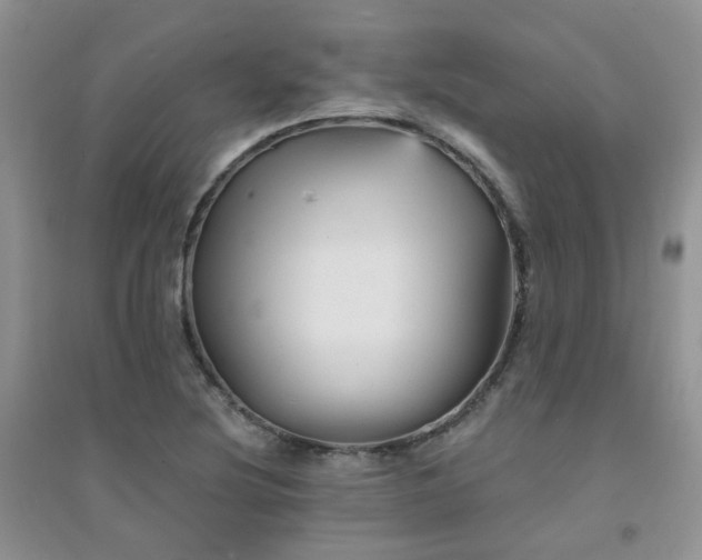 X0000094961220200711291433