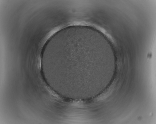 X0000094961221200711291433