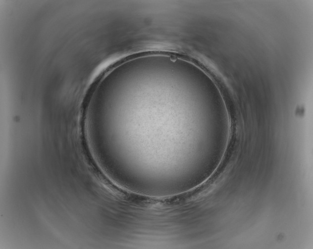 X0000094961222200711291433