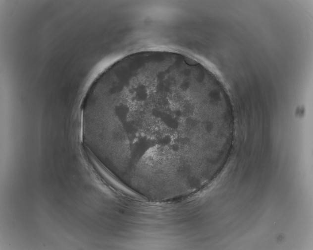 X0000094961223200711291433