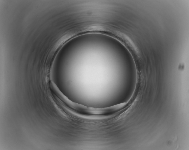 X0000094961225200711291433