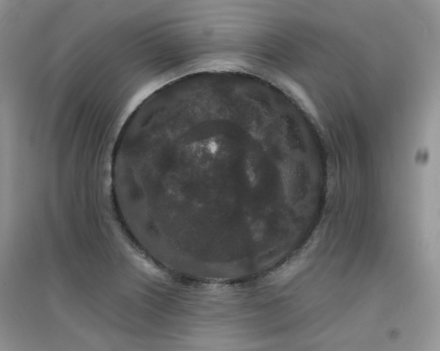 X0000094961226200711291433