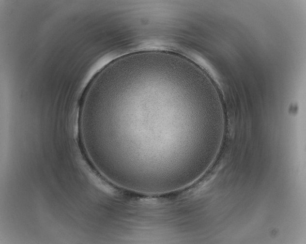 X0000094961227200711291433