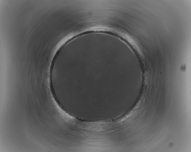 X0000094961229200711291433