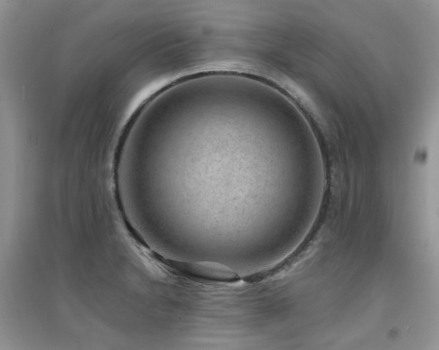 X0000094961230200711291433