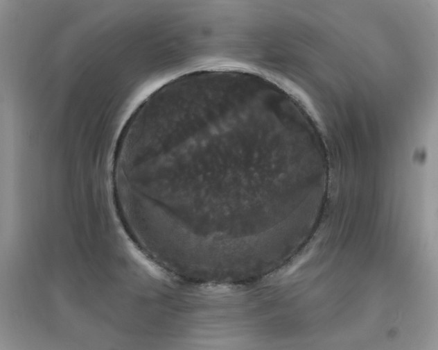 X0000094961231200711291433