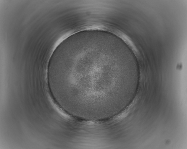 X0000094961234200711291433