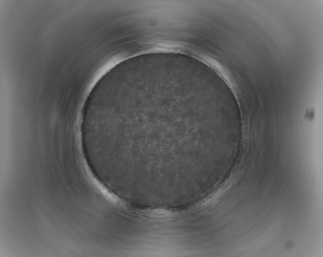 X0000094961235200711291433