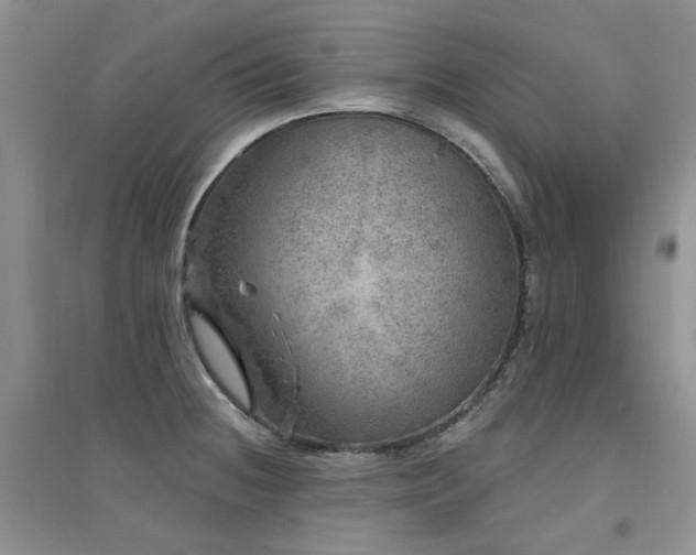 X0000094961236200711291433