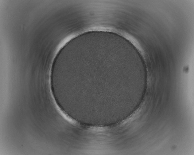 X0000094961237200711291433