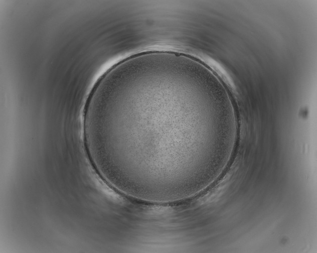 X0000094961238200711291433