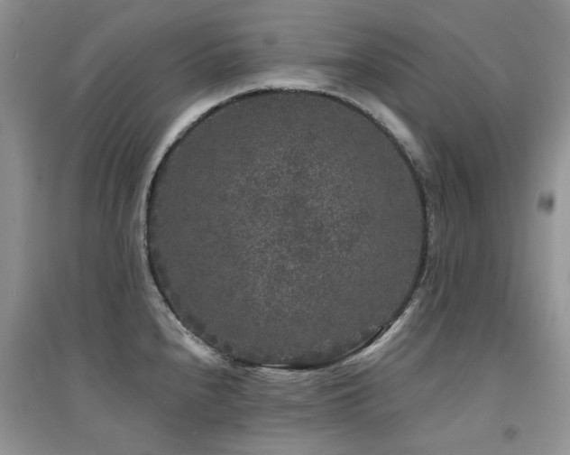 X0000094961240200711291433