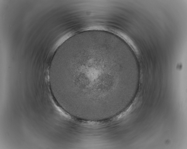 X0000094961241200711291433