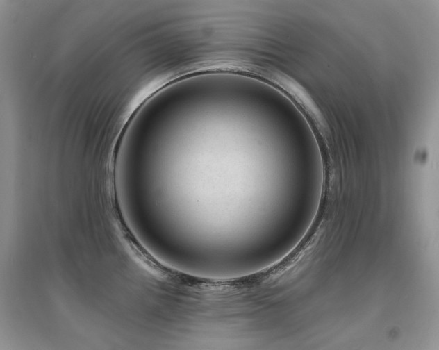 X0000094961242200711291433