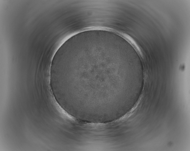 X0000094961244200711291433