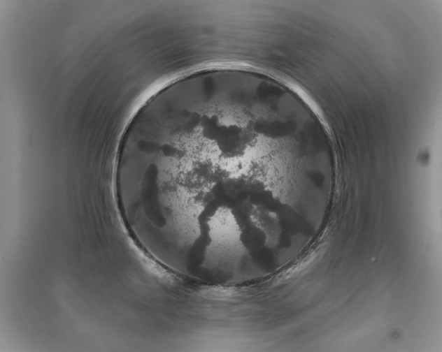 X0000094961245200711291433