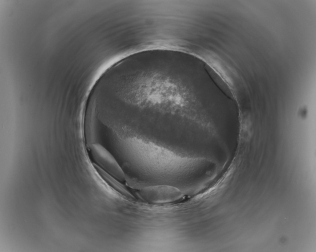 X0000094961246200711291433