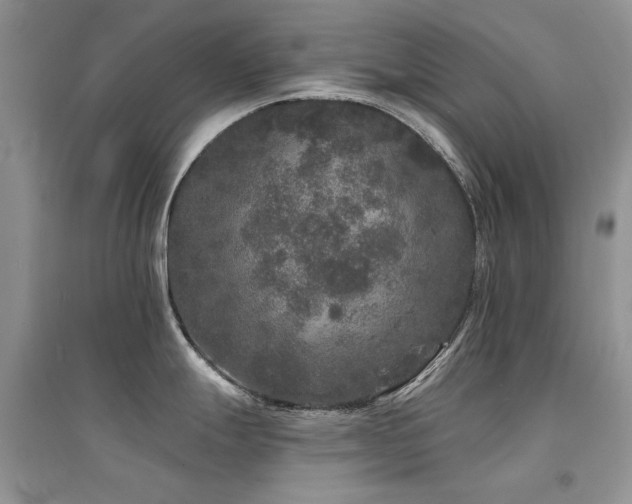 X0000094961247200711291433