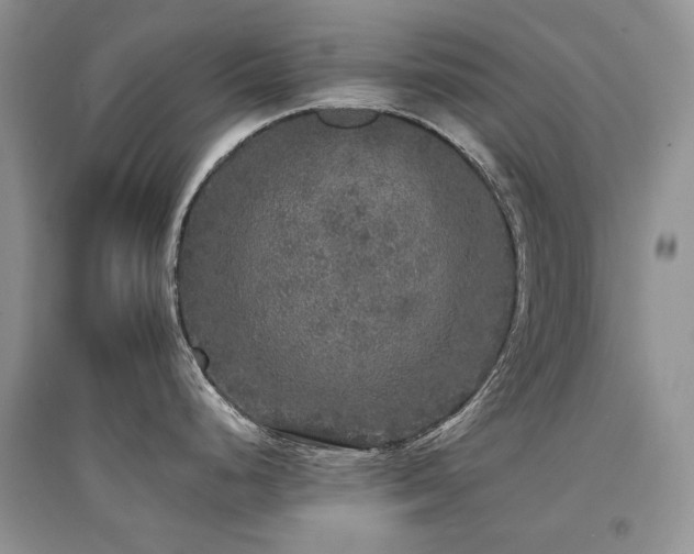 X0000094961248200711291433