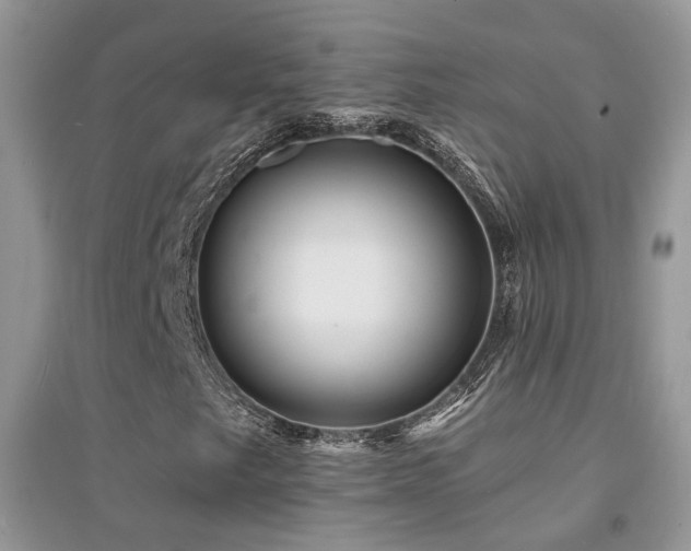 X0000094961249200711291433