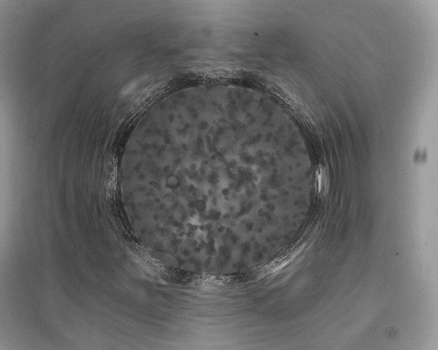 X0000094961251200711291432