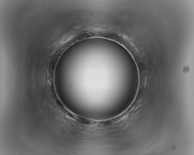 X0000094961253200711291432