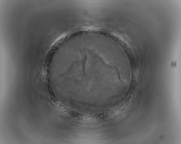 X0000094961254200711291432