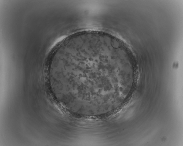 X0000094961255200711291432