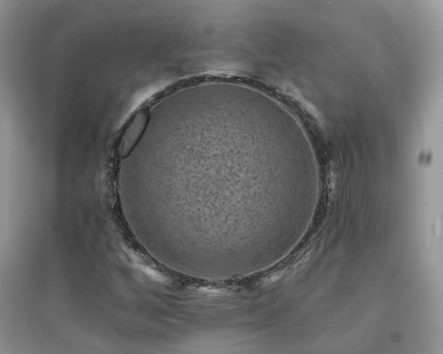 X0000094961256200711291432