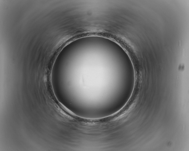 X0000094961257200711291432