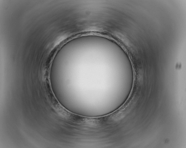X0000094961258200711291432