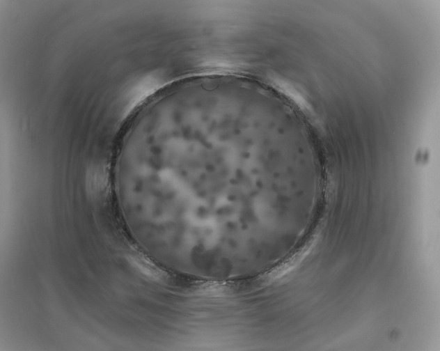 X0000094961259200711291432