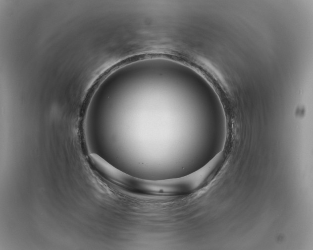 X0000094961260200711291432