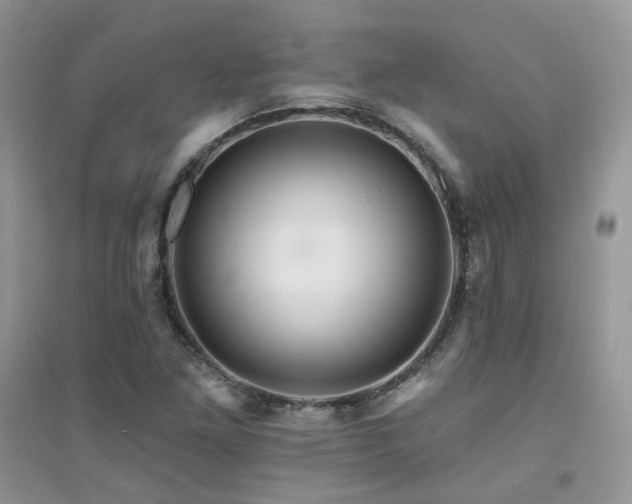 X0000094961261200711291432