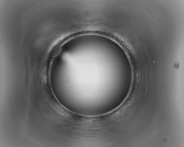 X0000094961262200711291432