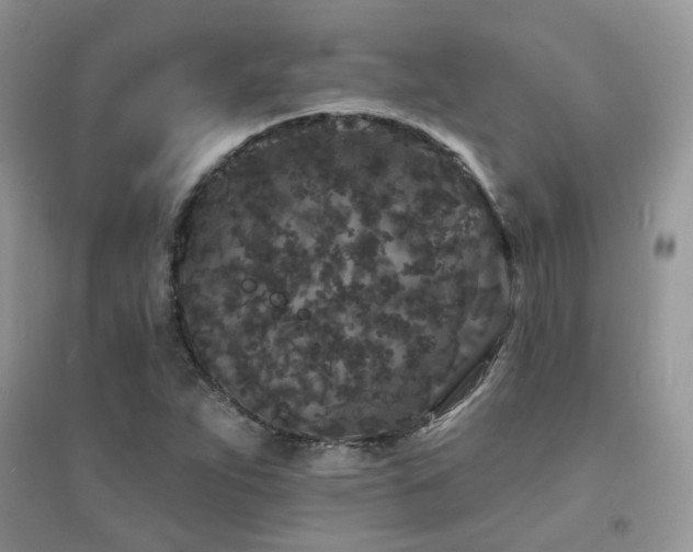 X0000094961263200711291432
