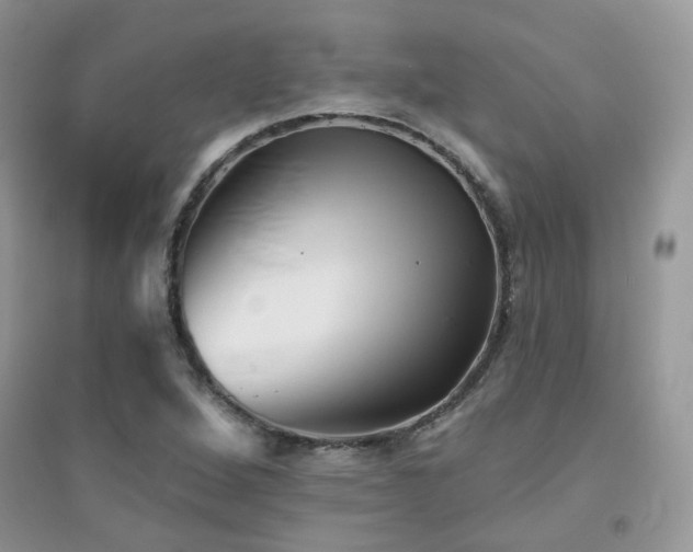 X0000094961264200711291432