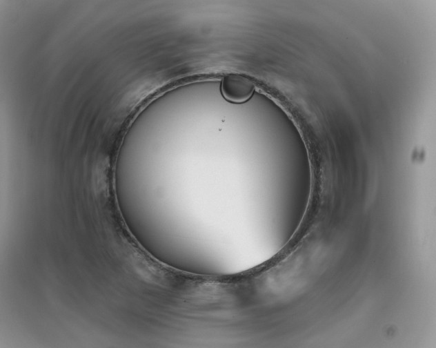 X0000094961265200711291432
