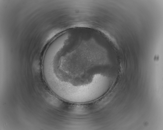 X0000094961266200711291432